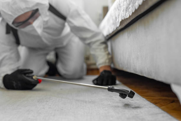 Professional Pest Control technician working in Ward, AR