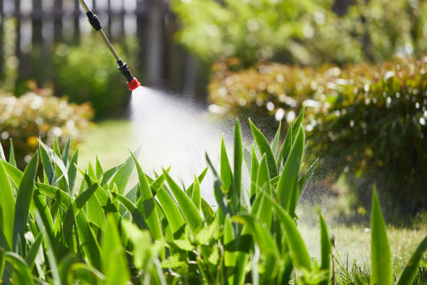 24/7 Emergency Pest Control experts in Ward, AR