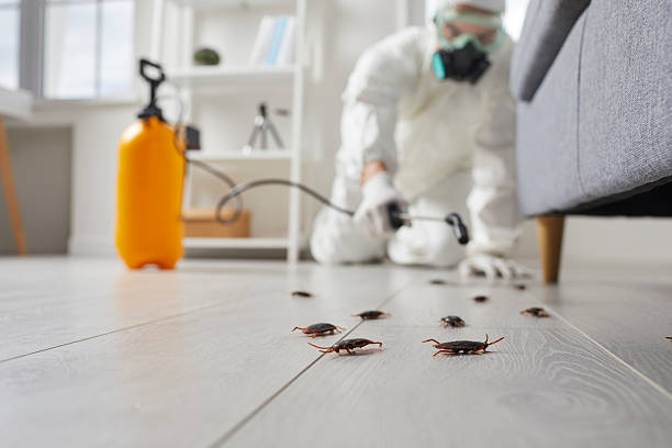 Affordable Pest Control solutions in Ward, AR