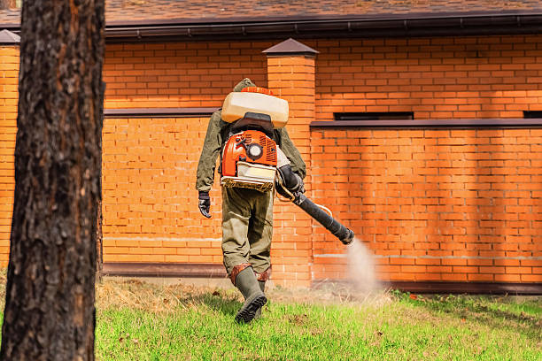 Top rated local Pest Control specialists in Ward, AR